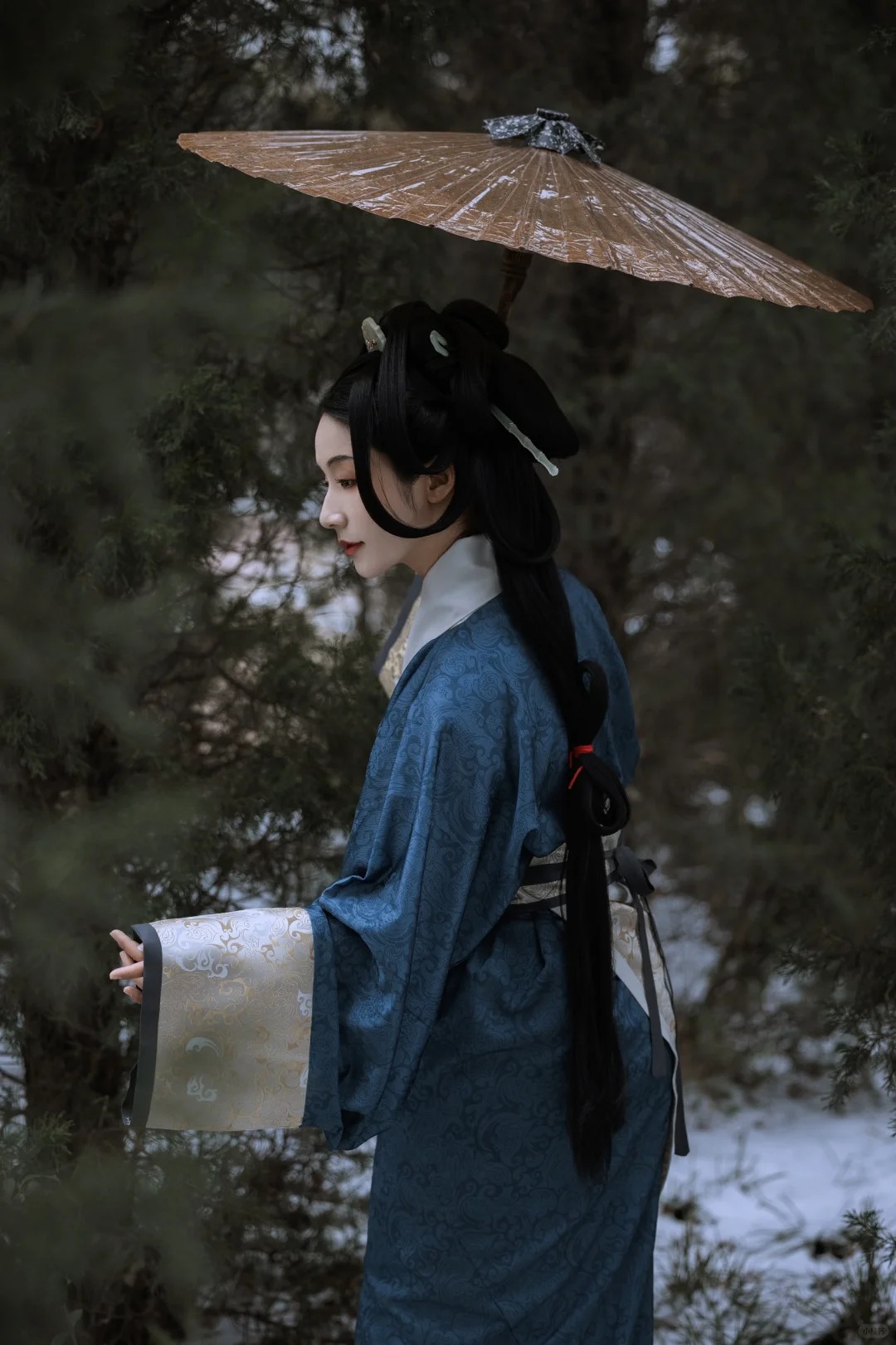 爱她始于南，葬于北