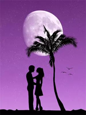 沈念安江烬夜《老公拿我去投标，却赔了夫人又折兵》_《老公拿我去投标，却赔了夫人又折兵》最新章节在线阅读